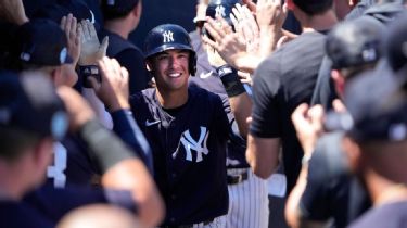 New York Yankees Anthony Volpe GIF - New york yankees Anthony