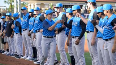 Still focused: With season canceled, local minor league baseball player  wants to stay sharp