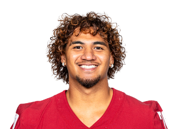 Leo Pulalasi headshot