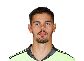 Dominik Kotarski