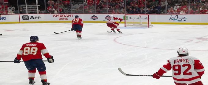 Dylan Larkin scores his 2nd goal vs. Panthers