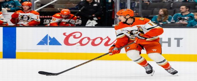 Troy Terry's goal lifts Anaheim past Preds, sets up Ducks-Oilers