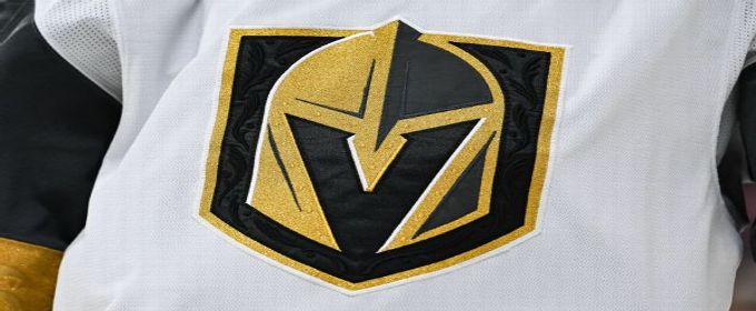 Knights promote Ryan Craig from AHL affiliate to head coach