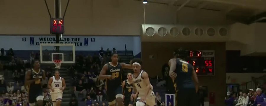 Canisius Golden Griffins vs. Niagara Purple Eagles: Game Highlights