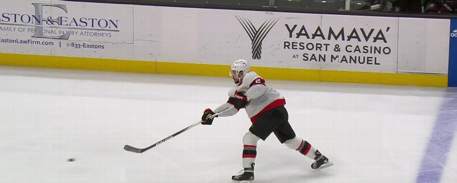 Ottawa Senators vs. Anaheim Ducks: Game Highlights