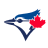 TOR logo