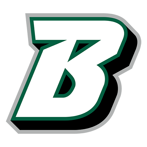 Binghamton Bearcats Binghamton Bearcats