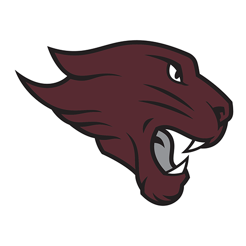 Concordia-Chicago Cougars