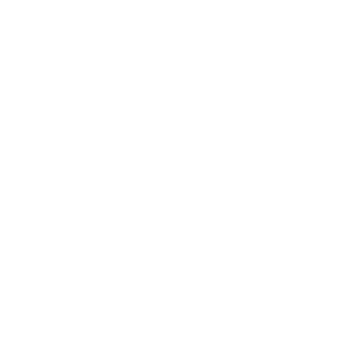 Rice Owls Rice Owls