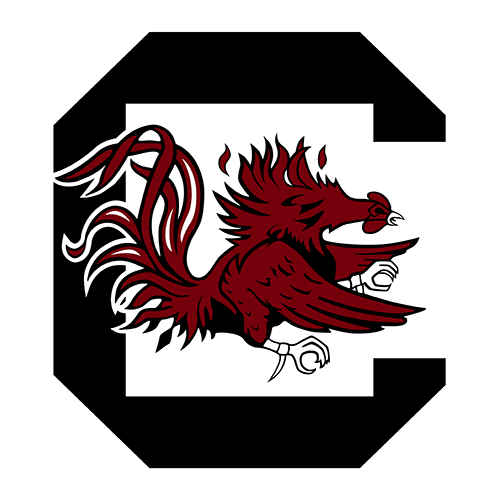 South Carolina Gamecocks South Carolina Gamecocks