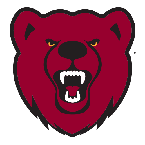 Ursinus Bears