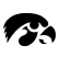 Iowa Hawkeyes logo