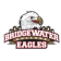 BRI logo