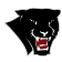 FIT logo