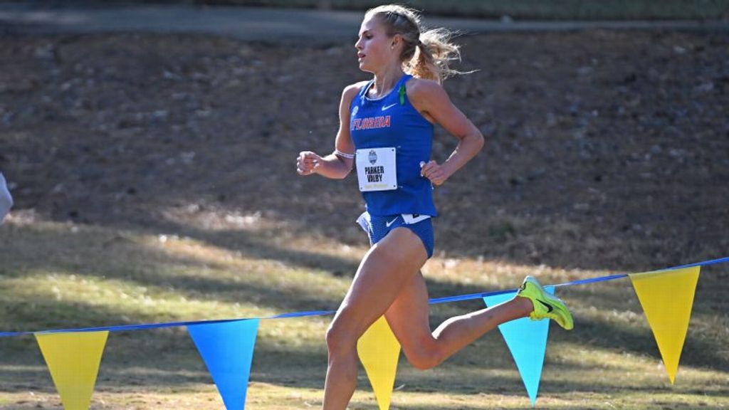 SEC runners wrap up cross country season