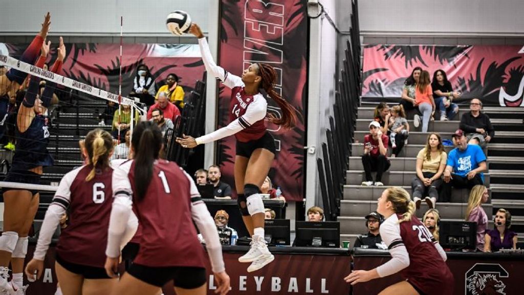 Gamecocks rally to take down Auburn in home finale