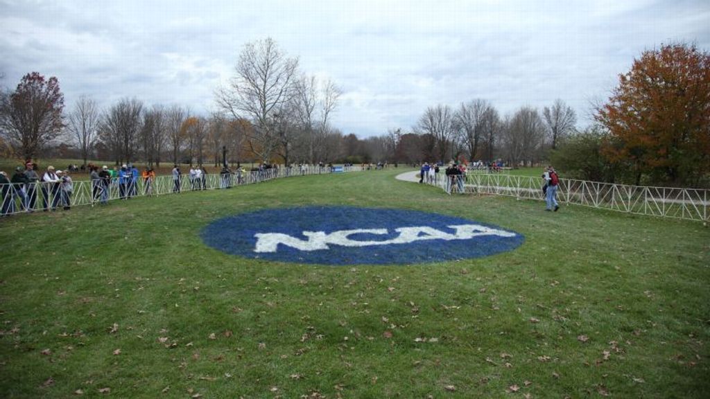 SEC cross country teams set for NCAA Championships