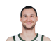 Danilo Gallinari headshot