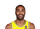 Wayne Ellington headshot