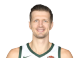 Mirza Teletovic headshot