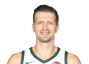 Mirza Teletovic