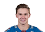 Vladislav Kamenev