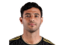 Carlos Vela