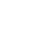 Toronto Raptors