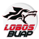 BUAP
