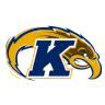 Kent State Golden Flashes