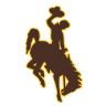 Wyoming Cowboys