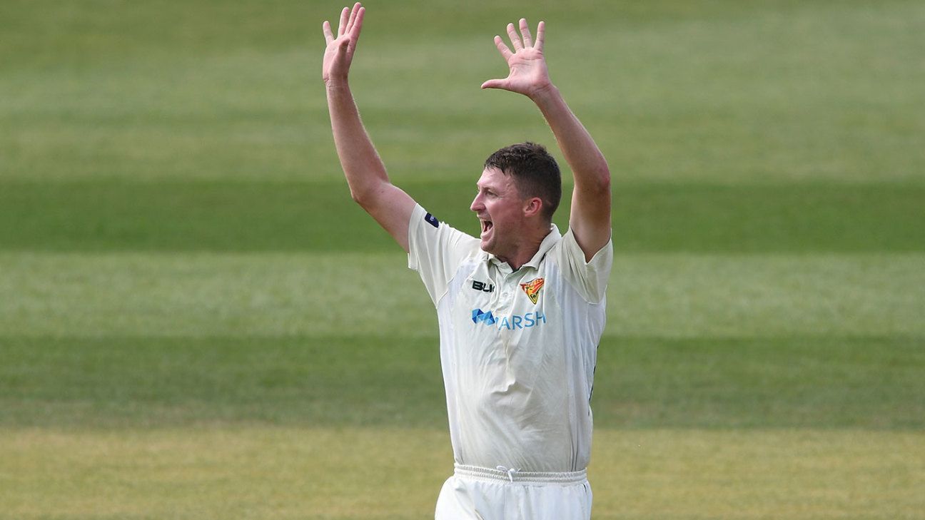 Bird flies back to Tasmania to continue Shield career