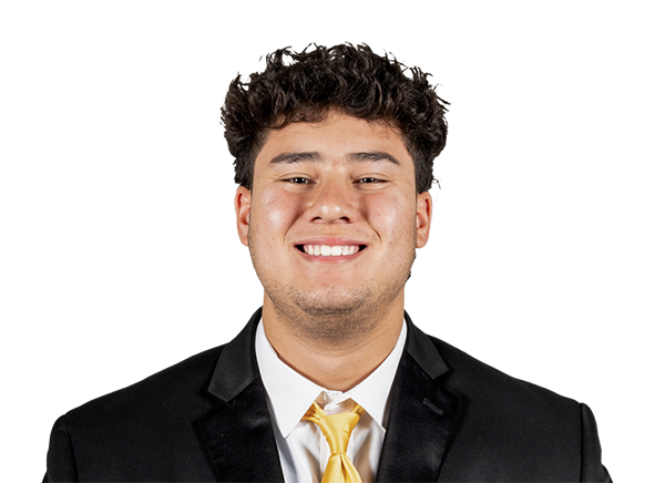 Zach Lohavichan - Wake Forest Demon Deacons Defensive Lineman - ESPN