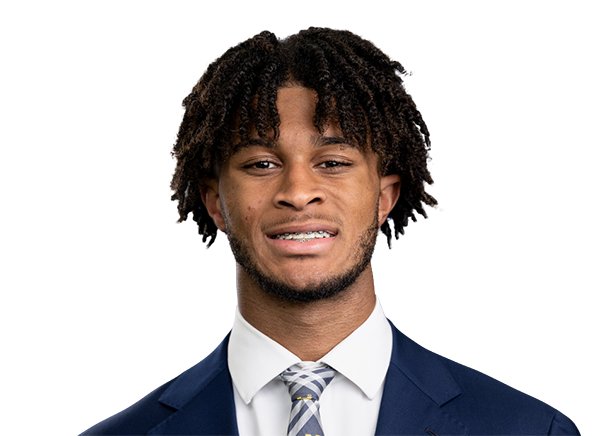 Channing Goodwin - Michigan Wolverines Wide Receiver - ESPN