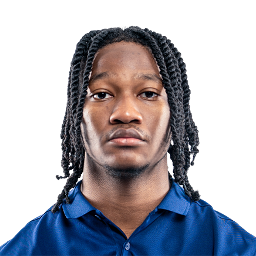 Bryan Domino