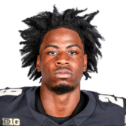 Dee Newsome
