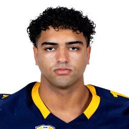 Sayed Abuhamdeh