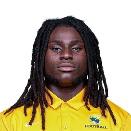 David Olasimbo