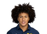 Salesi Moa