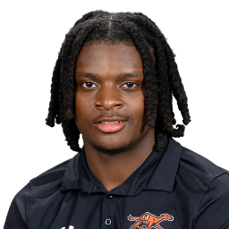 Chinua Ezeigbo