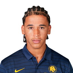 Andrez Lewis