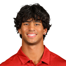 Isaac Lee