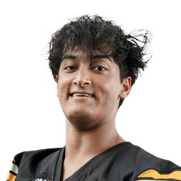 Zaydaan Faridi