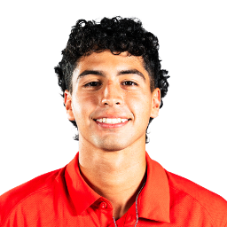 Andres Sandoval