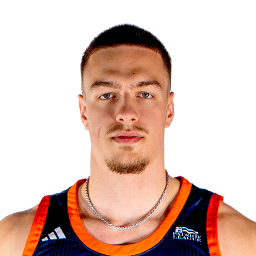 Grgur Brcic