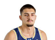 Dimitrije Vukicevic
