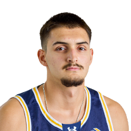 Dimitrije Vukicevic