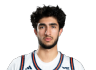 Pasha Shemirani