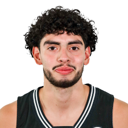 Austin Villarreal
