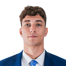 Aleksa Dimitrijevic